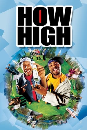 How High (2001) Hindi Dual Audio [800MB]