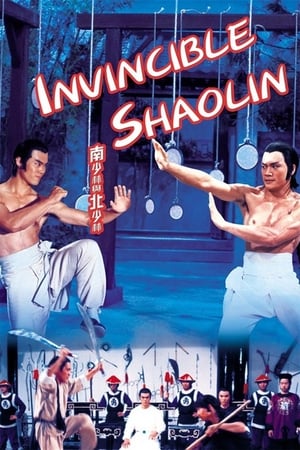 Invincible Shaolin 1978 Hindi Dual Audio 300MB