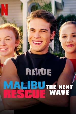 Malibu Rescue: The Next Wave (2020) Hindi Dual Audio [640MB]