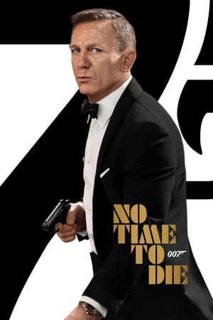 No Time To Die (2021) Hindi (ORG) Dual Audio –