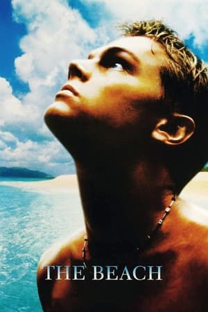 The Beach (2000) Hindi Dual Audio 300MB