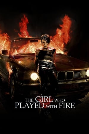 The Girl Who Played with Fire (2009) Hindi Dual Audio 330MB